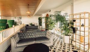 a lobby with a couch and potted plants at Hotel Estefania Boutique Suites in Chayofa +96 photos