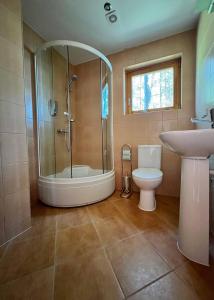 y baño con ducha, aseo y lavamanos. en Villa Green Alchemy, en Molėtai