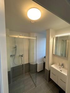 a bathroom with a glass shower and a sink at Paky Appartements 00209 in Vienna