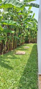 Photo de la galerie de l'établissement Relax Villa Kiwengwa, à Kiwengwa 35 autres photos