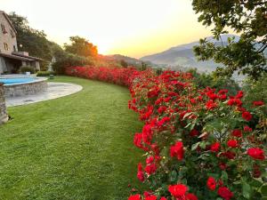 Paesaggio naturale nelle vicinanze della villa