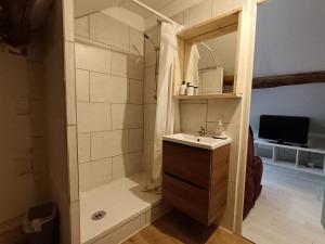 ein Bad mit einer Dusche, einem Waschbecken und einem WC in der Unterkunft Tournan en Brie, centre ville, superbe appartement in Tournan-en-Brie