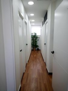 un pasillo con puertas blancas y una maceta en Dreams Low Cost, en Madrid