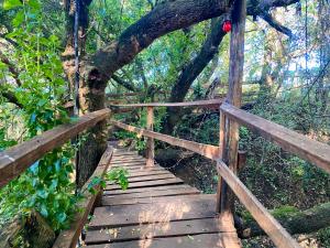 埃尔多雷特Tiret Riverside Resort and Retreat的相册照片