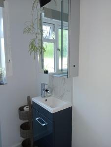 a bathroom with a sink and a mirror at Hill House Lodge in Stoke Gabriel