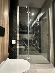 Warszawska - apartament na wynajem! في جورزو فيلكوبولسكي: حمام مع دش زجاجي مع مرحاض