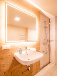 ein Bad mit einem Waschbecken, einem Spiegel und einer Dusche in der Unterkunft Domizil am Gohrisch in Kurort Gohrisch