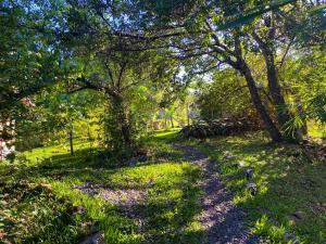 Tiret Riverside Resort and Retreat外面的花园