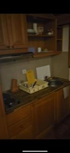 eine Küche mit einer Arbeitsplatte mit einer Spüle und einer Theke von 6 dx in der Unterkunft Big Apartments in Kopaonik