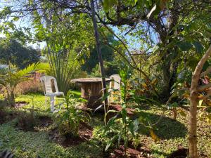 Tiret Riverside Resort and Retreat外面的花园