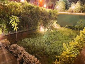 a garden with plants and a pond at night at Rawdat Zayed Compound in Sheikh Zayed