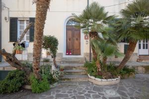 a house with palm trees in front of a door at Appartamento al Cotone - HelloElba in Marciana Marina