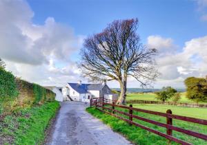 un árbol al lado de un camino al lado de una valla en Granar y Garth en Aberystwyth