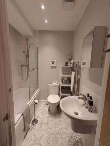 a bathroom with a toilet and a sink and a shower at Central Caversham Reading one bed flat in Reading