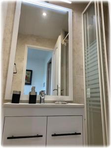 een badkamer met een witte wastafel en een spiegel bij **** Les Petites Mares **** in La Mothe-Achard