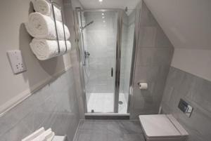 ブレントウッドにあるCosy, Bright, 1 Bed Flatのバスルーム(シャワー、トイレ、タオル付)