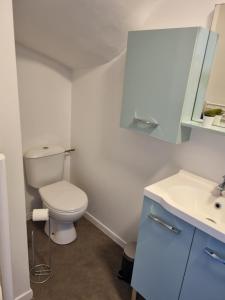 蘇瓦松的住宿－La Fourmi，一间带卫生间、水槽和镜子的浴室