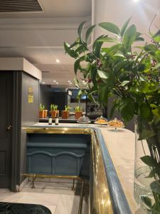 a lobby with a counter with potted plants at Hotel RL Anibal in Linares