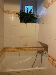 uma banheira na casa de banho com uma planta em Flat in the house & dog friendly em Praga