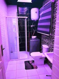 a purple bathroom with a toilet and a sink at Rawdat Zayed Compound in Sheikh Zayed
