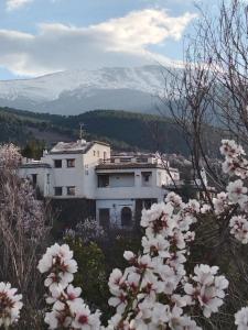 a white building with flowers in front of a mountain at La Posada del Altozano in Lanteira