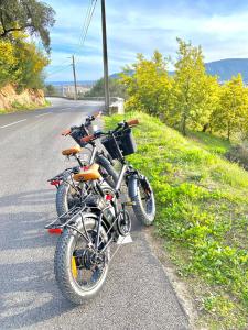 Fotografie z fotogalerie ubytování VILLA COLINA v destinaci Mandelieu-la-Napoule + 150 fotografií