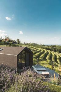 ein kleines Gebäude auf einem Weinbaugebiet in der Unterkunft Glamping house Julija - Wellness & View in Ivanjkovci