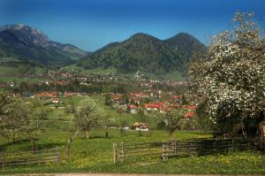 a village in a field with mountains in the background at Am Badezentrum Ferienwohnungen in Ruhpolding +8 photos