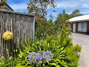 a garden with purple flowers next to a fence at Castaway Holiday Apartments in Strahan