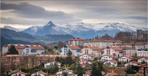 a city with houses and snow capped mountains in the background at Pension Urola in Zumárraga