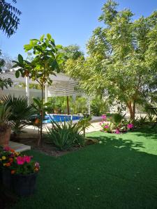 a yard with a pool and some plants and flowers at Little Garden private pool villa in Al Ḩamrāʼ