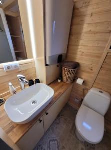 a bathroom with a white sink and a toilet at Unwind Cabin Heisterberg in Driedorf