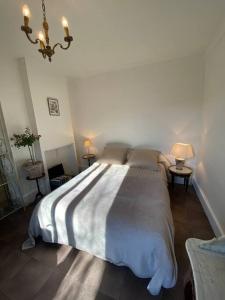 - une chambre avec un lit et un lustre dans l'établissement Le NEW Montferrand 1 et 2, à Clermont-Ferrand