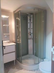y baño con ducha y aseo. en Au Bois de Massier - Chambre d'hôtes, en Vienne