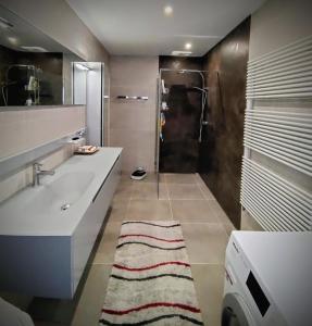ein Bad mit einer Dusche und einem Waschbecken in der Unterkunft Zonnezoen in De Panne