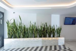 a concrete planter with plants in a room at Iraklion Hotel in Heraklio Town