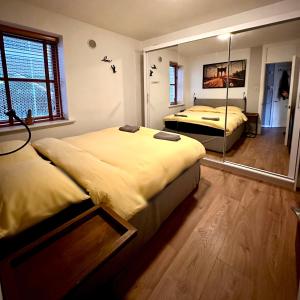 a bedroom with two beds and a mirror at Guest Apartment in Dublin