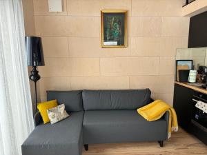 a living room with a gray couch and yellow pillows at Salnēni in Vecpiebalga