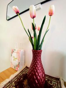 Φωτογραφία από το άλμπουμ του Ennys Homestay Port Dickson 2 Bedroom with pool σε Πορτ Ντίξον