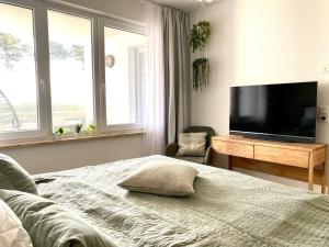 TV a/nebo společenská místnost v ubytování Ferienwohnung Dünensegler