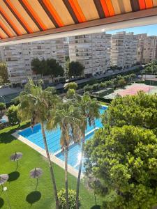 una vista aérea de una piscina con palmeras y edificios en Elegante Loft en San Juan Playa, en Alicante