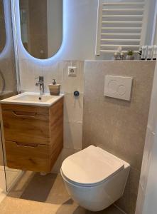 een badkamer met een toilet, een wastafel en een spiegel bij Amsterdam Beach Apartment 80 in Zandvoort