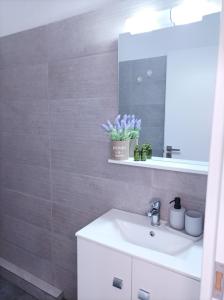 een badkamer met een wastafel en een spiegel bij V&E's Apartments in Pigádhia