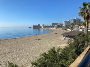 a view of a beach with palm trees and the ocean at Biznaga Hols in Benalmádena