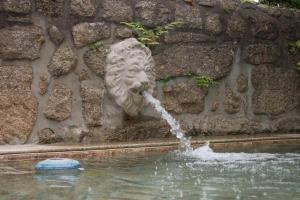 une fontaine avec une tête de lion devant un mur de pierre dans l'établissement Casa de São Braz, à Landim