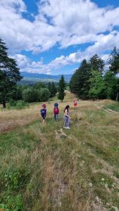 Foto dalla galleria di PINIALE GLAMPING TRIB a Bughea de Jos