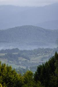 Foto dalla galleria di PINIALE GLAMPING TRIB a Bughea de Jos