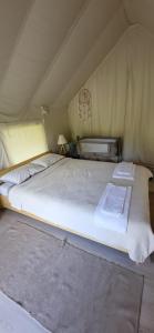 Foto dalla galleria di PINIALE GLAMPING TRIB a Bughea de Jos Altre 35 foto