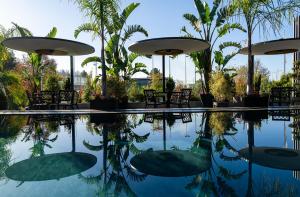 une piscine d'eau avec des chaises et des palmiers dans l'établissement Palatial Suites, à Braga