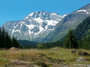 Paesaggio naturale nelle vicinanze dell'affittacamere